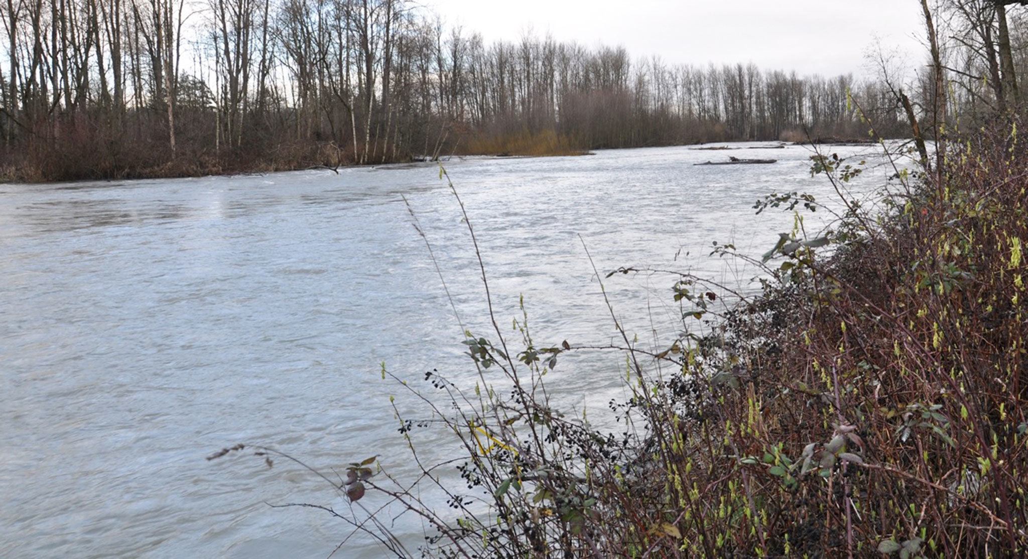Whereas the White River could once handle flows of 6,000 to 8,000 cubic feet per second, infill that has come off the Emmons Glacier on Mount Rainier and silted up the river has turned even flows of 5,000 cubic feet per second into reasons to worry. RACHEL CIAMPI, Auburn Reporter