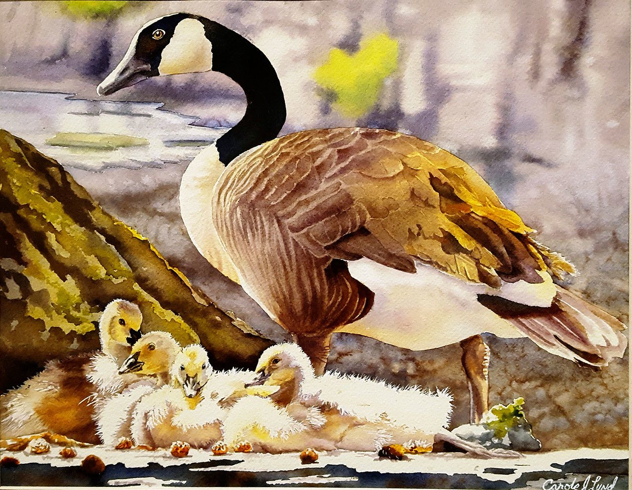 Carole Lynd’s watercolor painting, ‘Goose and Goslings’, captured the White River Valley Museum’s Small Works Big Presents, The Gift of Art exhibit as selected by the gallery’s visitors. Lynd won the $400 prize. COURTESY IMAGE, WRVM