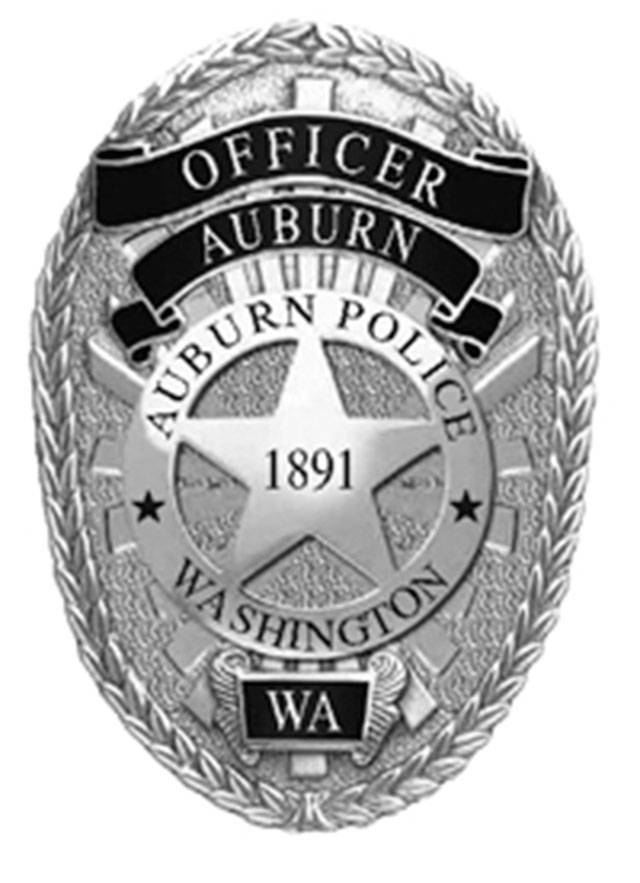 Auburn Police blotter | March 24