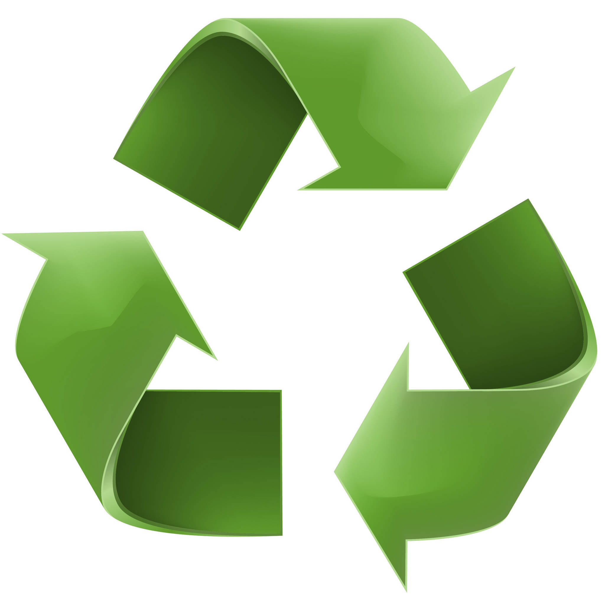 Recycling myths: sorting fact from fiction