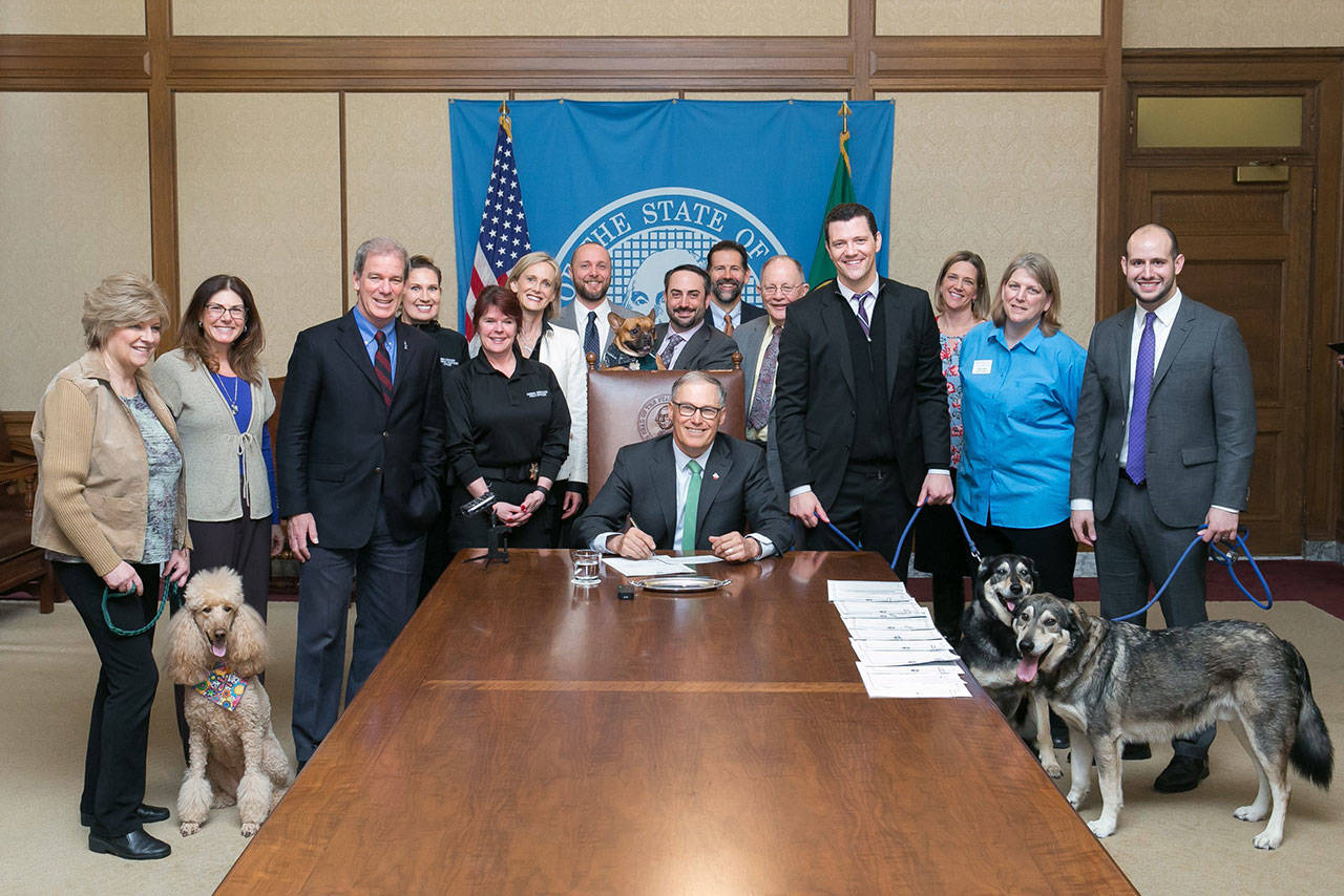 Animal care and protection advocates, lawmakers and dogs gathered as Gov. Inslee signed Sen. Joe Fain’s humane treatment for dogs legislation. COURTESY PHOTO