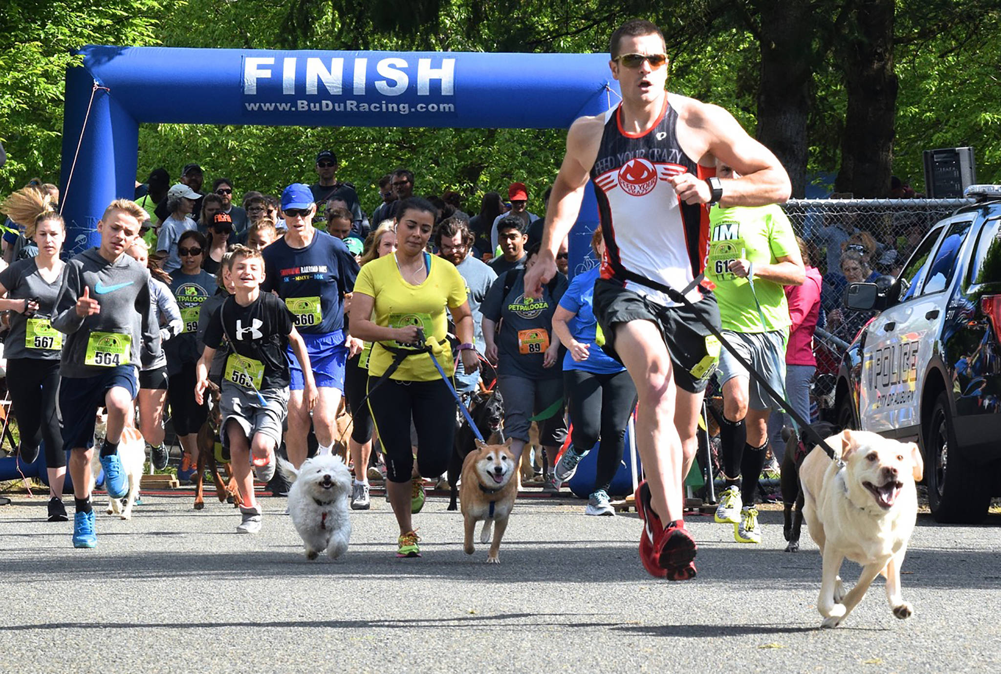 The field takes off for the Dog Trot Fun Run during Petpalooza at Game Farm Park on Saturday. RACHEL CIAMPI, Auburn Reporter