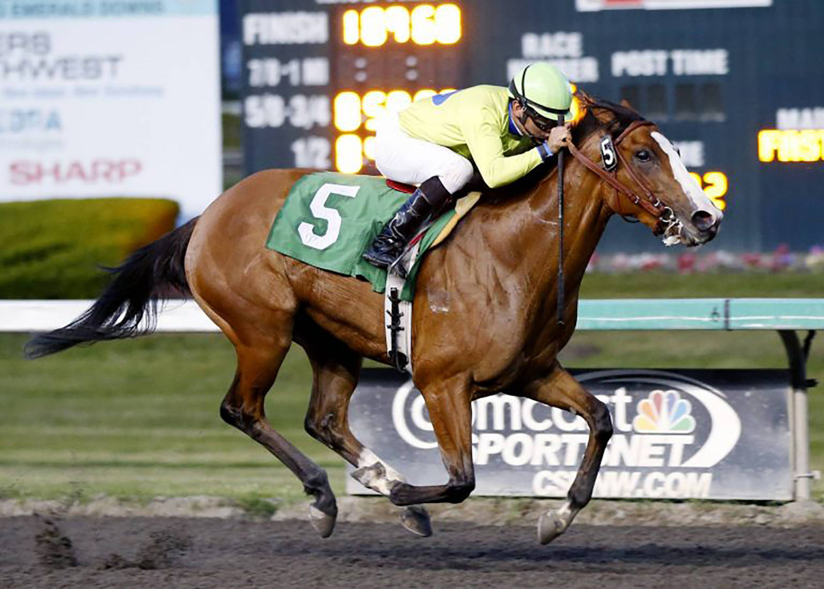 Loverthisbar romps to a three-length victory Friday in the $11,200 Muckleshoot Casino Purse for 3-year-old fillies at Emerald Downs. COURTESY PHOTO, Emerald Downs
