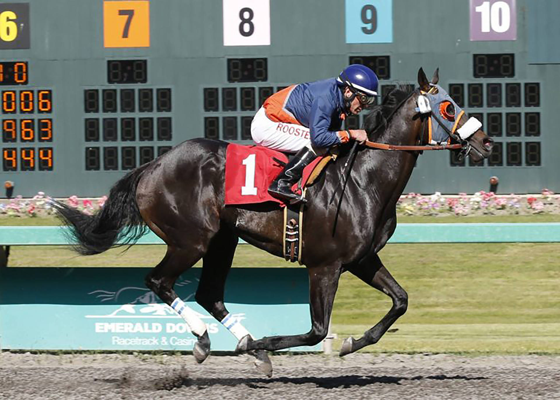 Javier Matias guides Say Neigh to victory in the John Parker Purse for 3-year-olds and up Emerald Downs on Saturday. COURTESY PHOTO, Emerald Downs