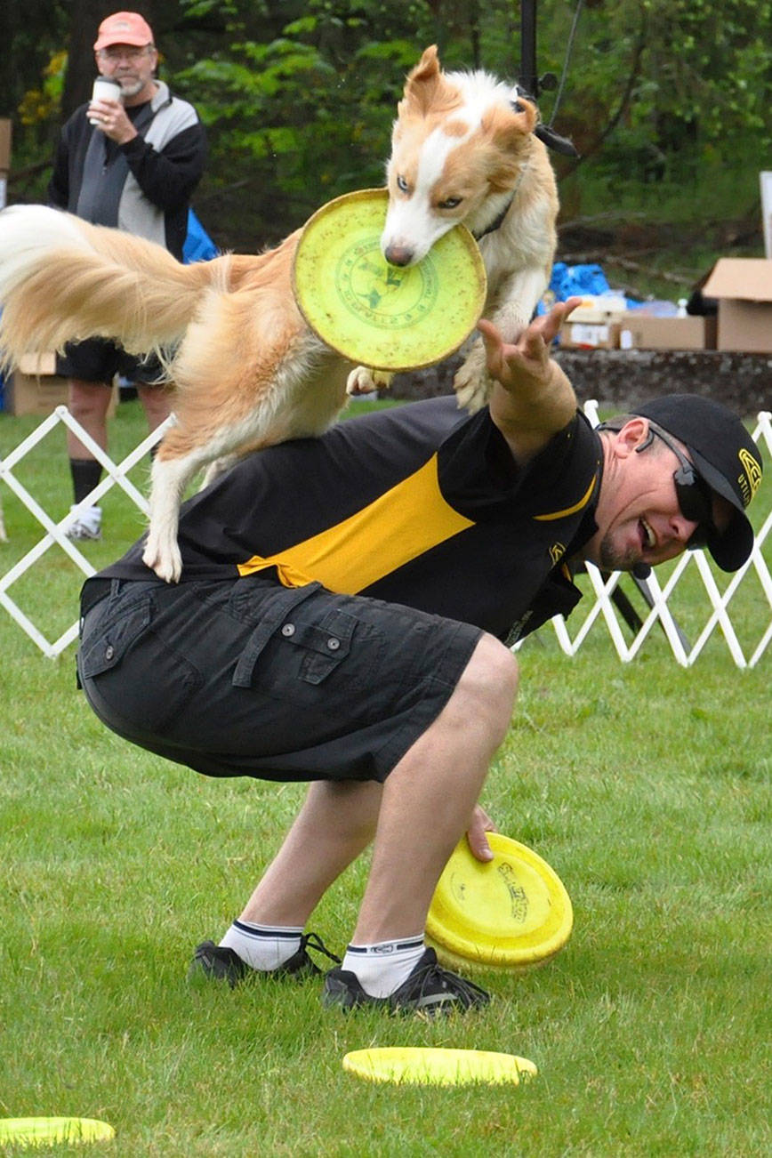 Petpalooza invades Game Farm Park on Saturday Auburn Reporter