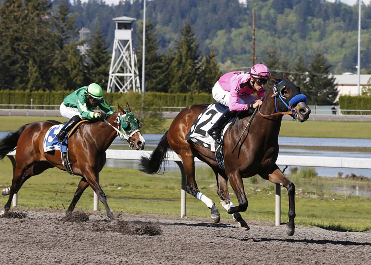 Alliford Bay ultra impressive in Seattle Stakes | Emerald Downs