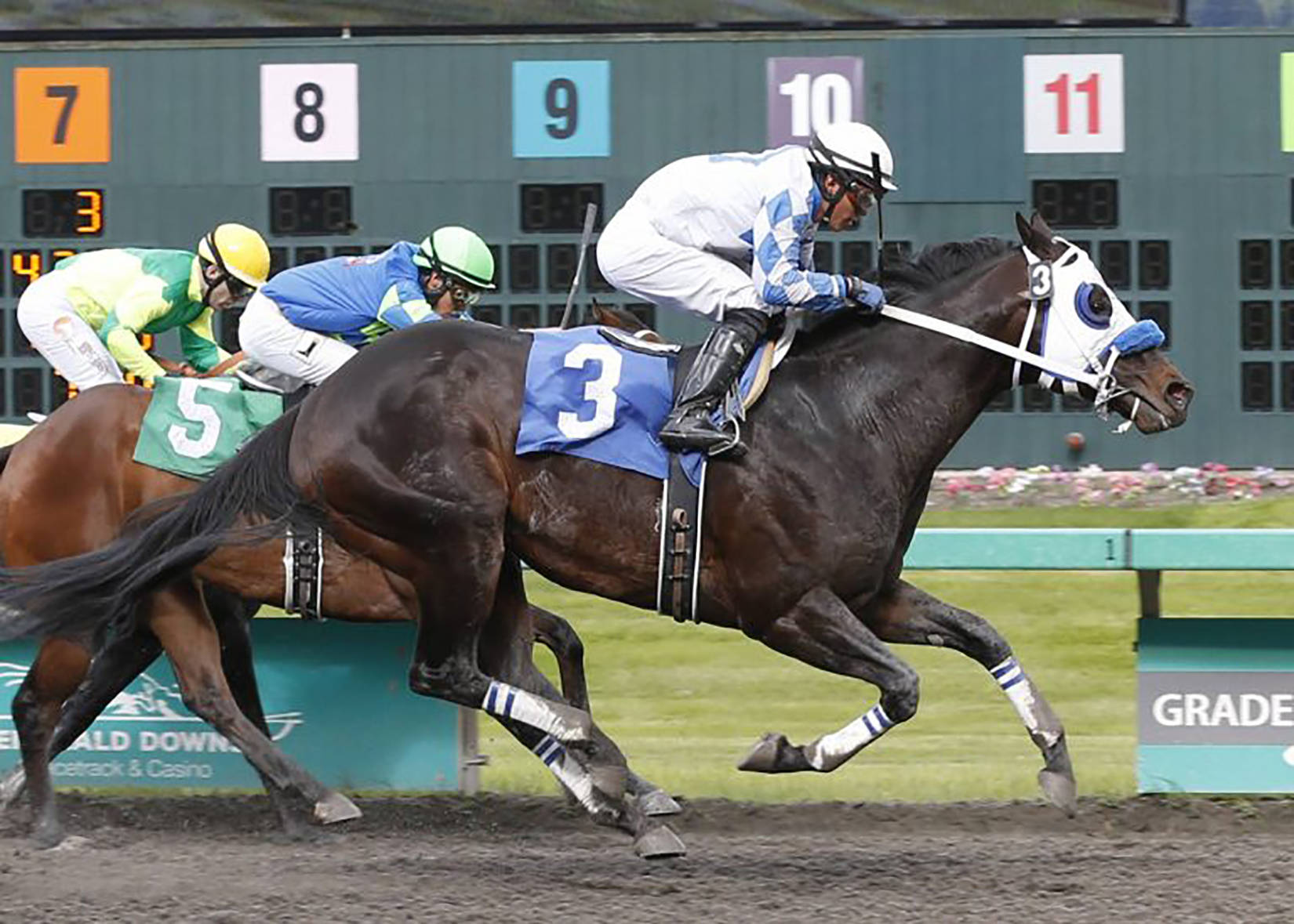Leonel Camacho-Flores rides Party Pooper to victory in the $15,600 John Parker Racing Purse for 3-year-olds and up at Emerald Downs. The 5-year-old Thoroughbred has won three straight races dating to last year. COURTESY PHOTO, Emerald Downs