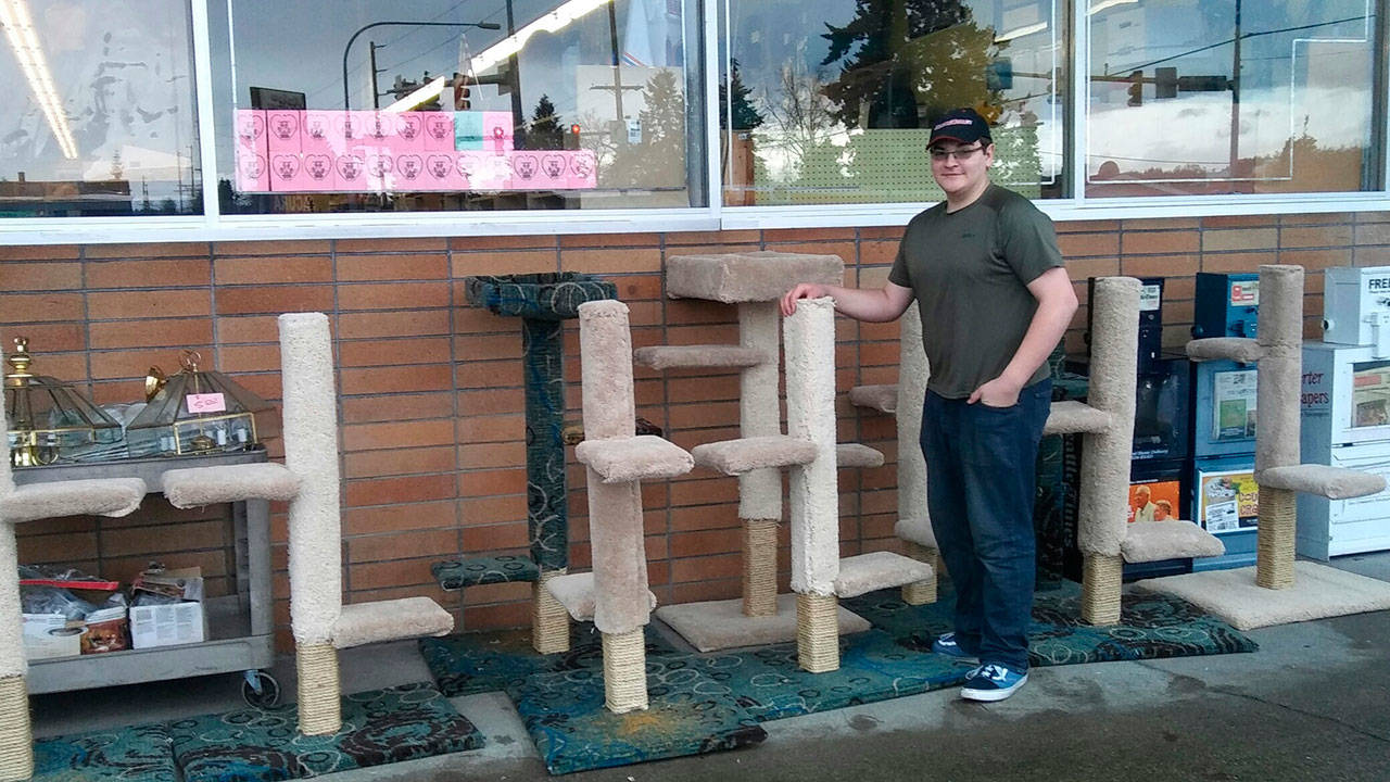 Hunter Kwartin and crew built and donated cat trees for the Auburn Valley Humane Society Thrift Store. COURTESY PHOTO