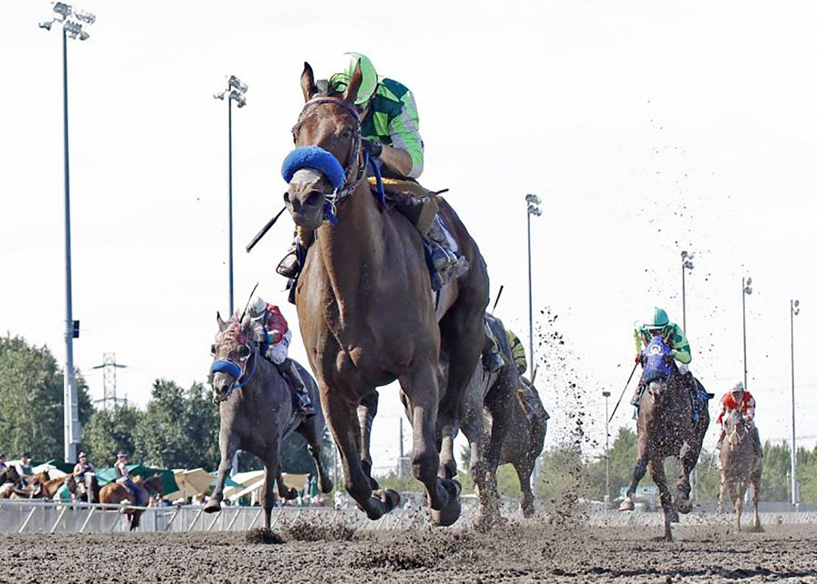 Juan Gutierrez drives Top Quality to victory in the $50,000 Irish Day Stakes for 3-year-old fillies Sunday at Emerald Downs. COURTESY PHOTO