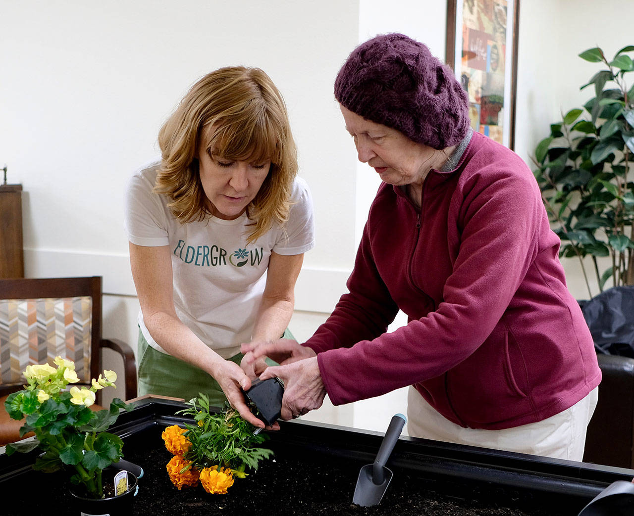 Eldergrow’s educators will teach and build relationships with residents through ongoing enrichment classes on horticulture, culinary and garden art. COURTESY PHOTO, Kevin Knox