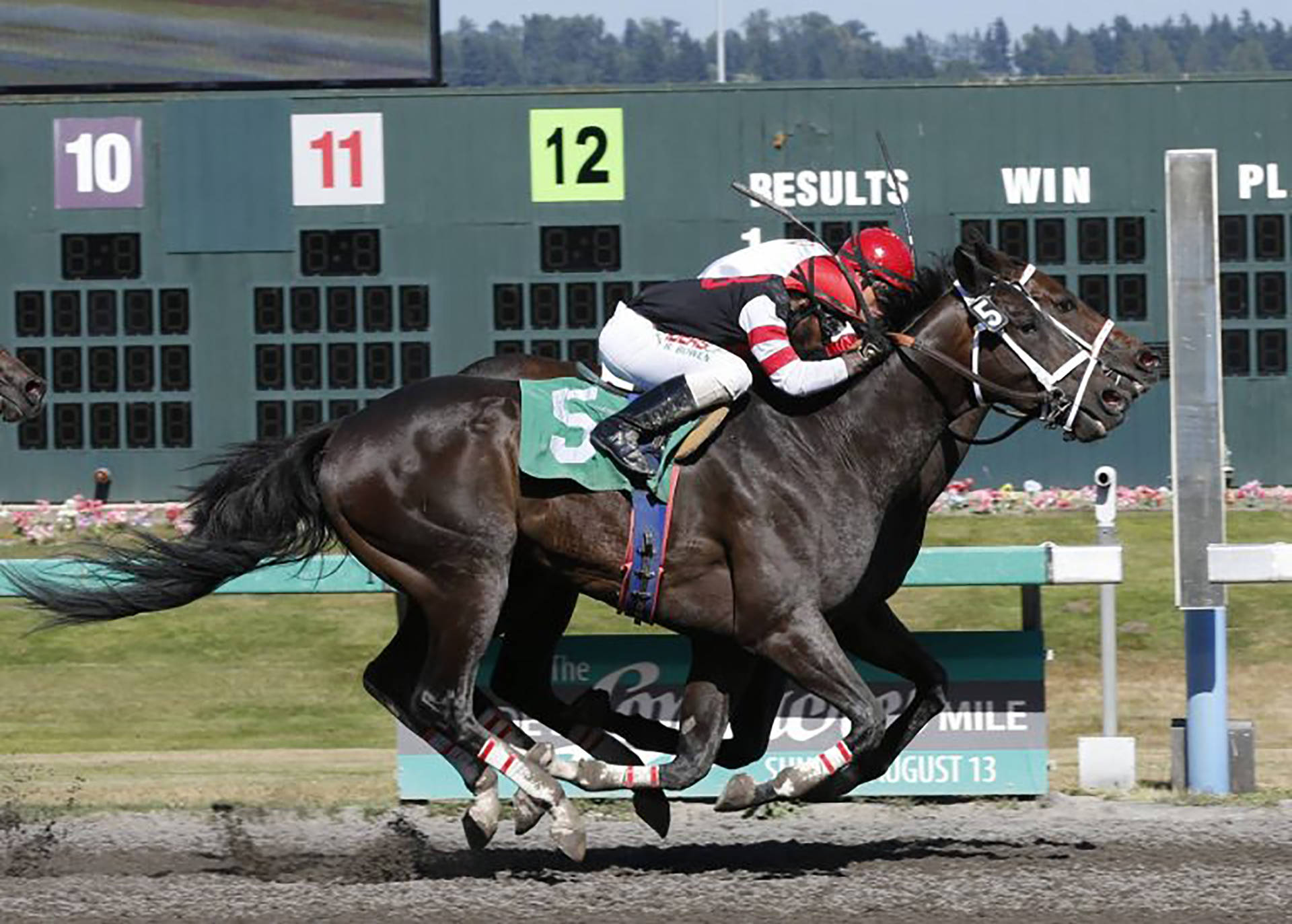 Jose Zunino guides Dustin’s Passion to victory in Saturday’s $9,000 Muckleshoot Casino Purse for 3-year-olds and up at Emerald Downs. COURTESY PHOTO