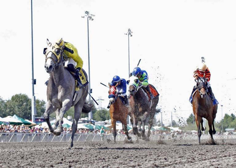 He’s Not Grey debuted with a big upset in the Emerald Express. COURTESY PHOTO, Emerald Downs