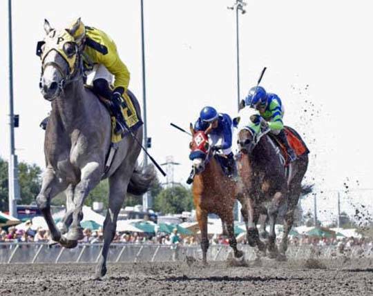 Big field set for Sunday’s $50,000 WTBOA Lads Stakes | Emerald Downs