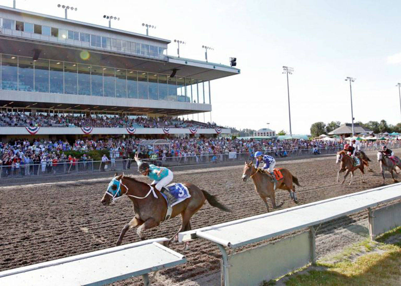 Mach One Rules, one of the Longacres Mile favorites, stormed to wins in the 6½-furlong Budweiser Stakes in a meet-best 1:13.94 and, above, the Mt. Rainier Stakes in a meet-best 1:42.55. COURTESY PHOTO