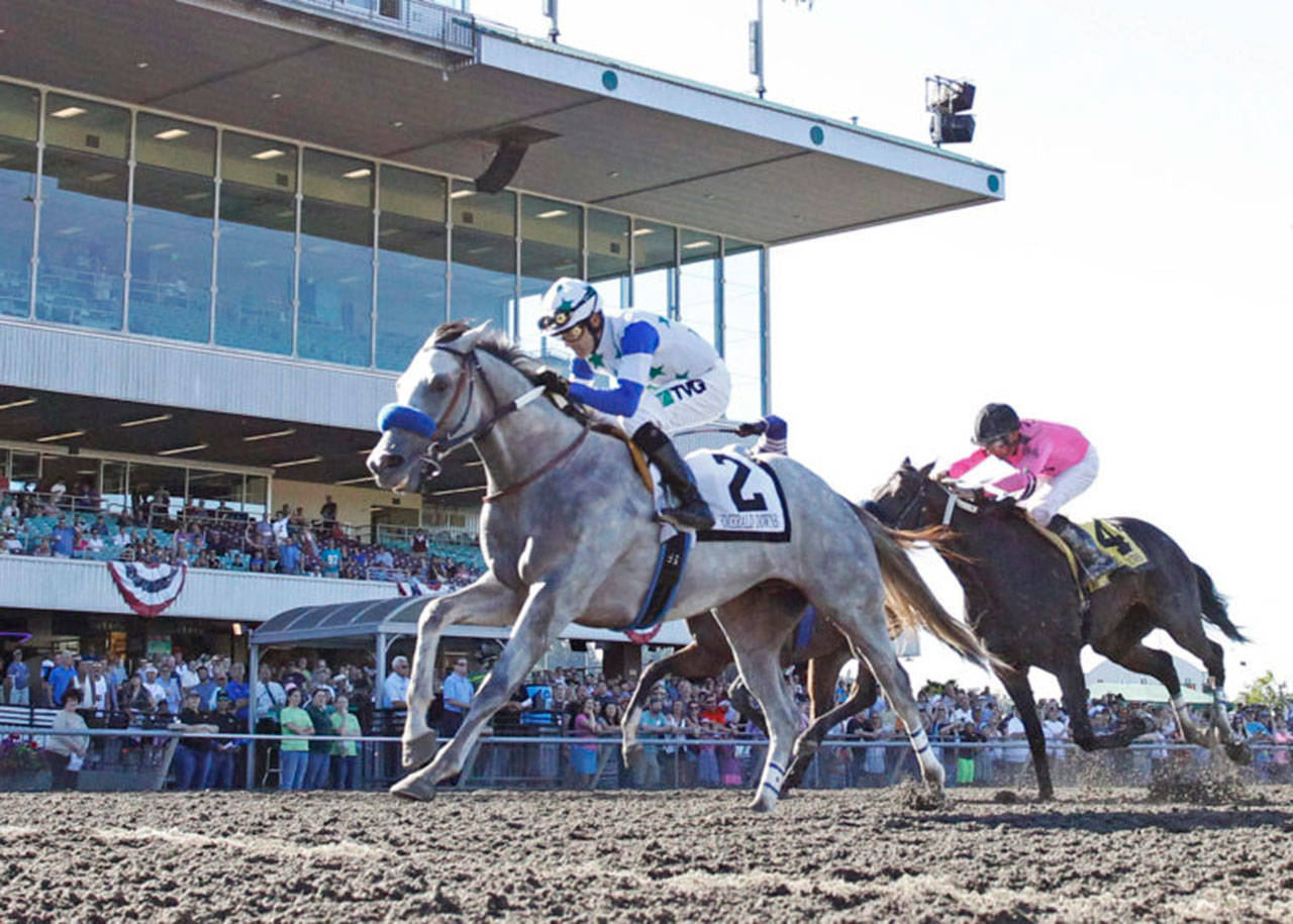 Riser holds off Aqua Frio in the $75,000 Emerald Downs Derby earlier this season. COURTESY TRACK PHOTO