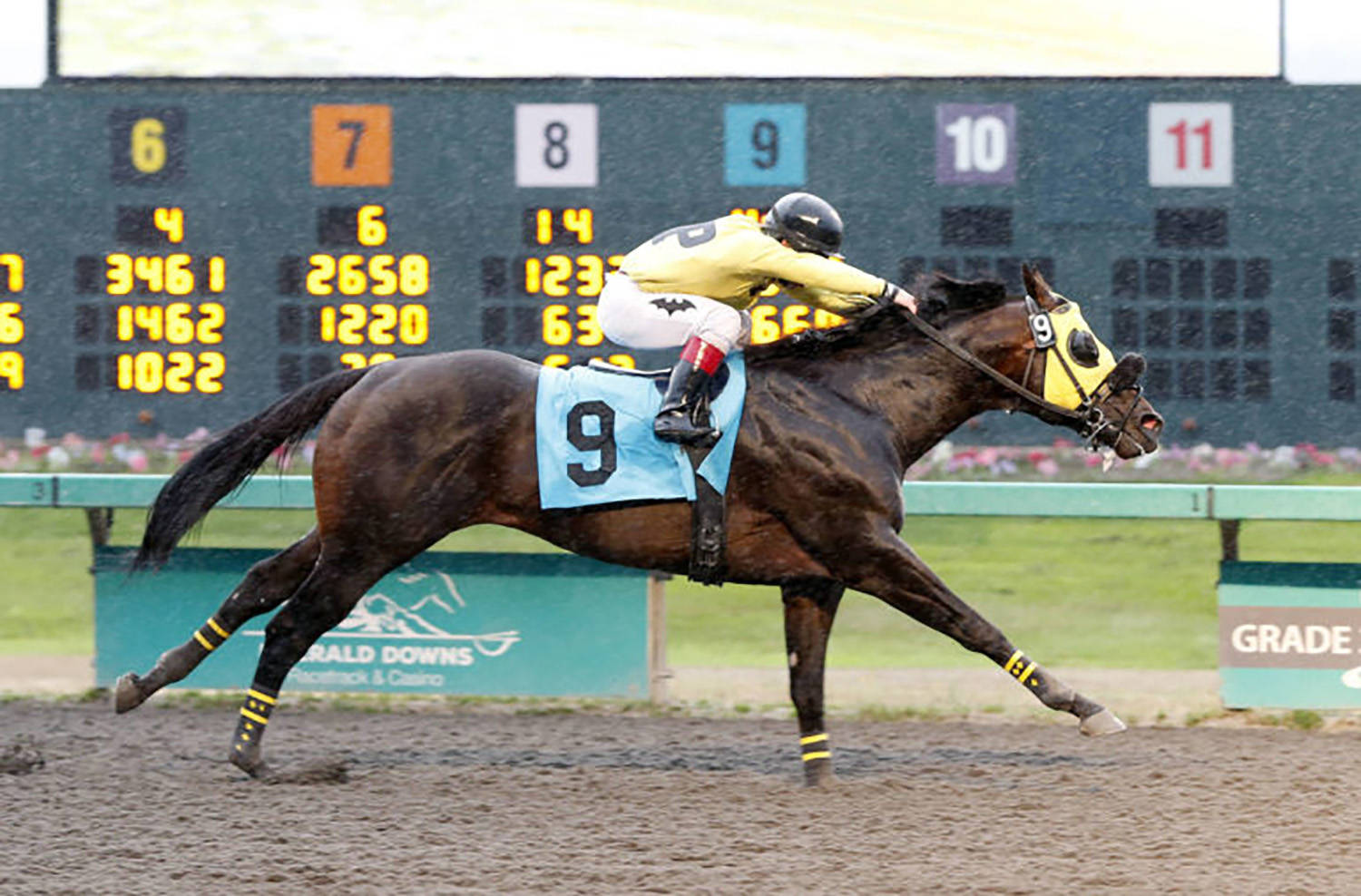 Party Pooper, with Erick Lopez up, captured the $11,200 Muckleshoot Casino Purse for 3-year-olds and up at Emerald Downs on Saturday. COURTESY TRACK PHOTO