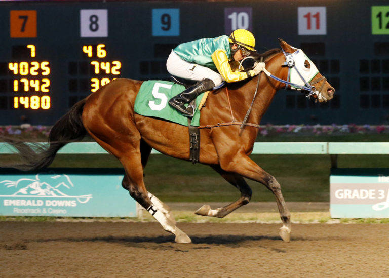 Wine At Nine is the 2-1 morning line favorite in Saturday’s $13,000 starter allowance for 3-year-olds and up at one mile. COURTESY TRACK PHOTO