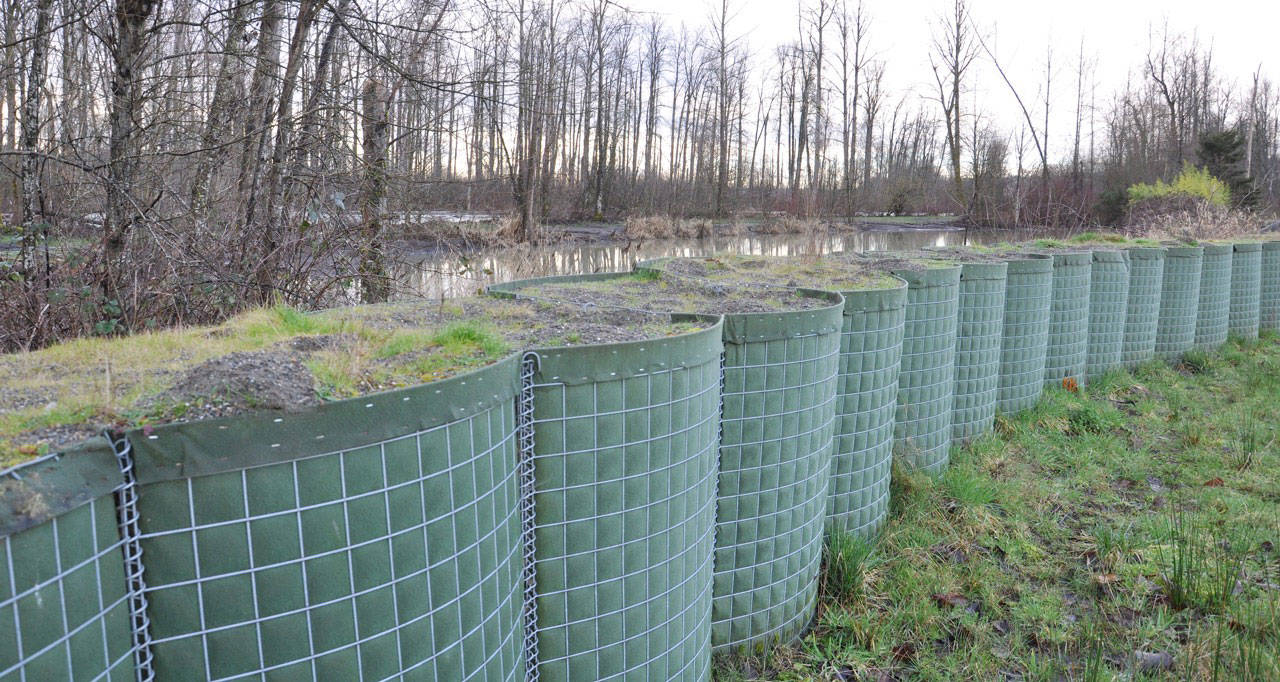 With flood season fast approaching, workers are preparing to install a temporary flood barrier along the White River in Pacific that helps decrease the risk of flooding in nearby neighborhoods. RACHEL CIAMPI, Auburn Reporter