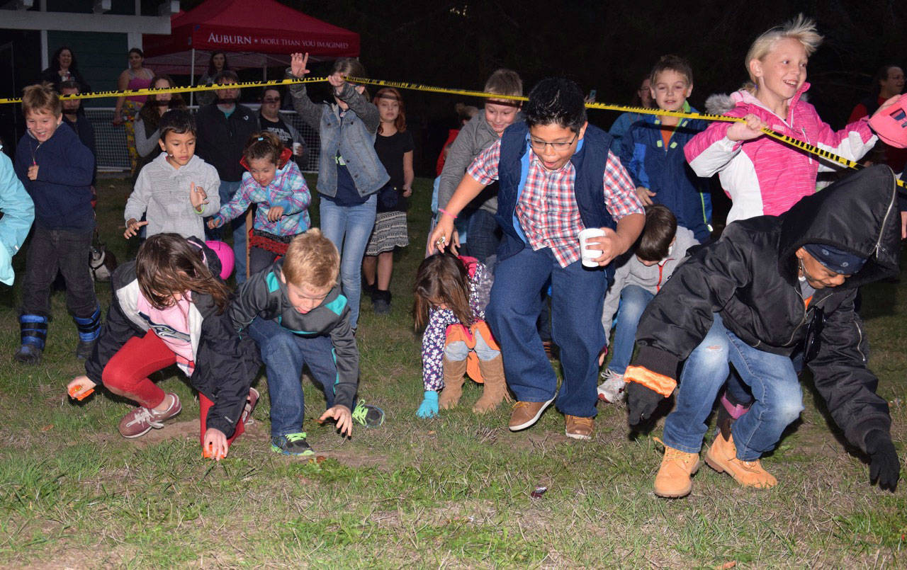 Children race to gather treats at the haunted candy scramble during the Auburn Parks, Arts Recreation’s S’more Than You Imagined event last Saturday at Game Farm Wilderness Park. RACHEL CIAMPI, Auburn Reporter