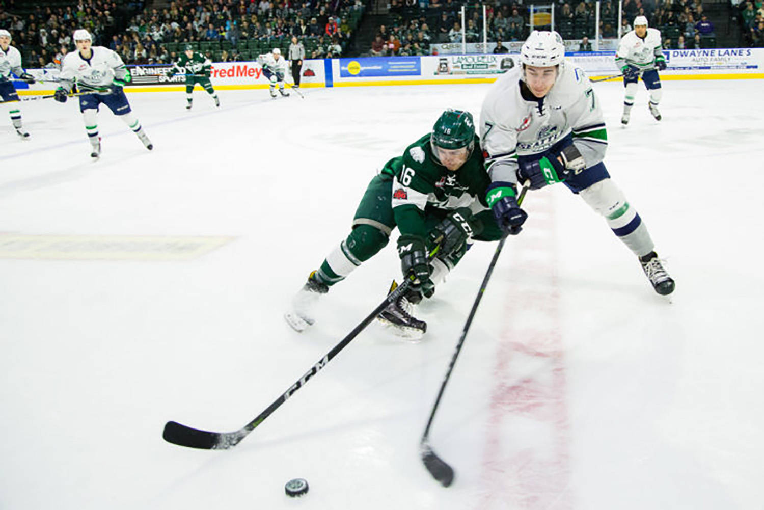 Thunderbirds defenseman Reece Harsch, right, and Silvertips winger Luke Ormsby reach for the puck during WHL play Friday night at Xfinity Arena. COURTESY PHOTO, Chris Mast