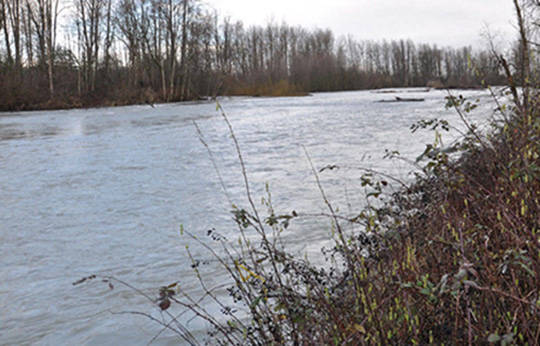 The White River in Pacific. RACHEL CIAMPI, Auburn Reporter