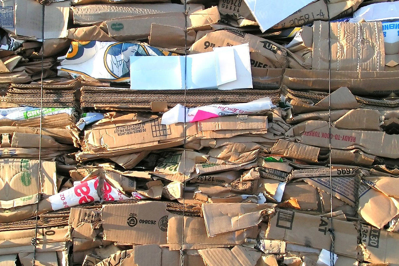 Auburn-Riverside High School Orchestra hosts Recycle for a Cause