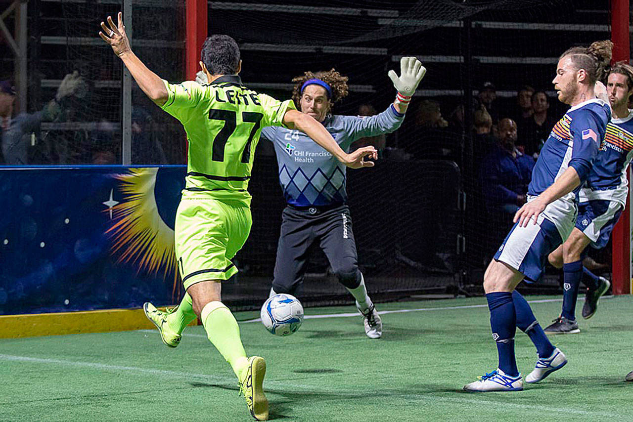 The Stars’ Danny Waltman has performed well in the net this season. COURTESY PHOTO, Stars