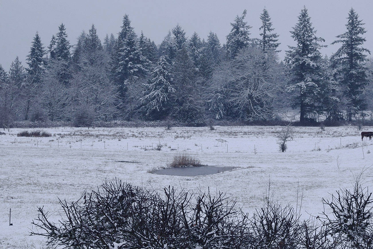 Snow down Auburn Reporter