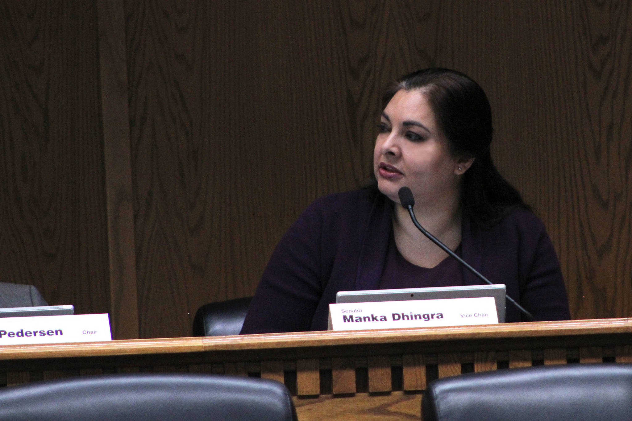 Senator Manka Dhingra, D-Redmond, speaks for her proposal to add domestic harassment to the crimes that could cost a person their gun rights. Photo by Taylor McAvoy