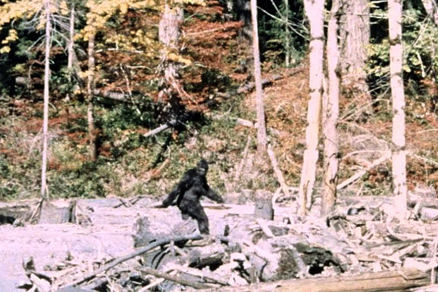 Bigfoot eludes state recognition yet again