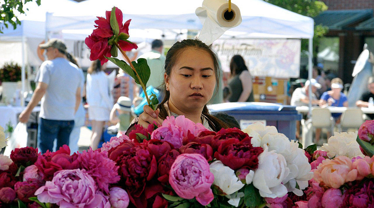 RACHEL CIAMPI / Auburn Reporter                                 Ntxhee Lo prepares flowers for sale at the Auburn International Farmers Market. A seasonal fixture at the Sound Transit Plaza, the market moves to Les Gove Park this spring.