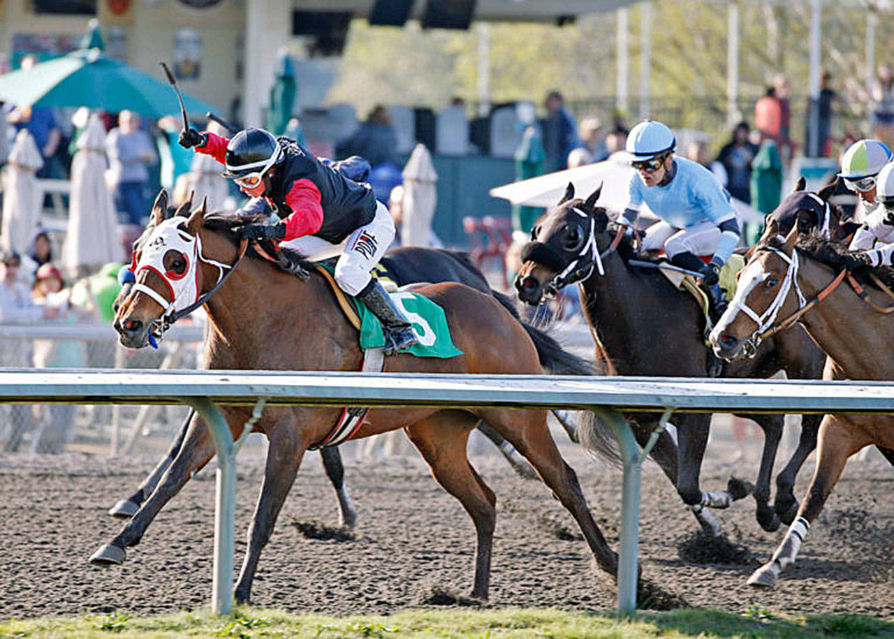 Mary Lois, with Jennifer Whitaker up, posts an upset victory Sunday in the featured Valpak Purse for older fillies and mares as Emerald Downs. COURTESY TRACK PHOTO