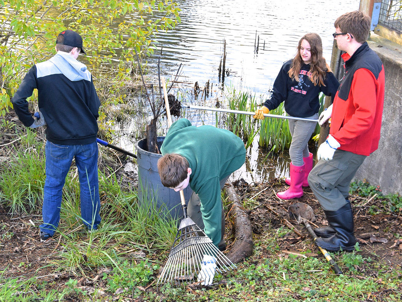 Boy Scout Troop 401 works to beautify at Mill Pond Park. RACHEL CIAMPI, Auburn Reporter