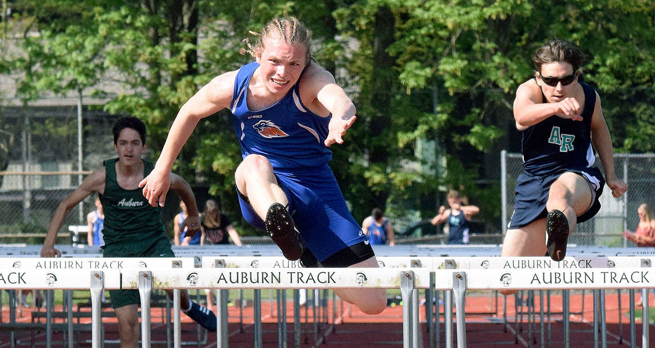 Auburn Mountainview’s Chase Murphy charges to victory in the 110-meter hurdles in 16.02 seconds. RACHEL CIAMPI, Auburn Reporter