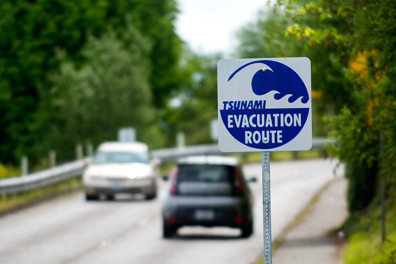 Human error blamed for tsunami warning glitches