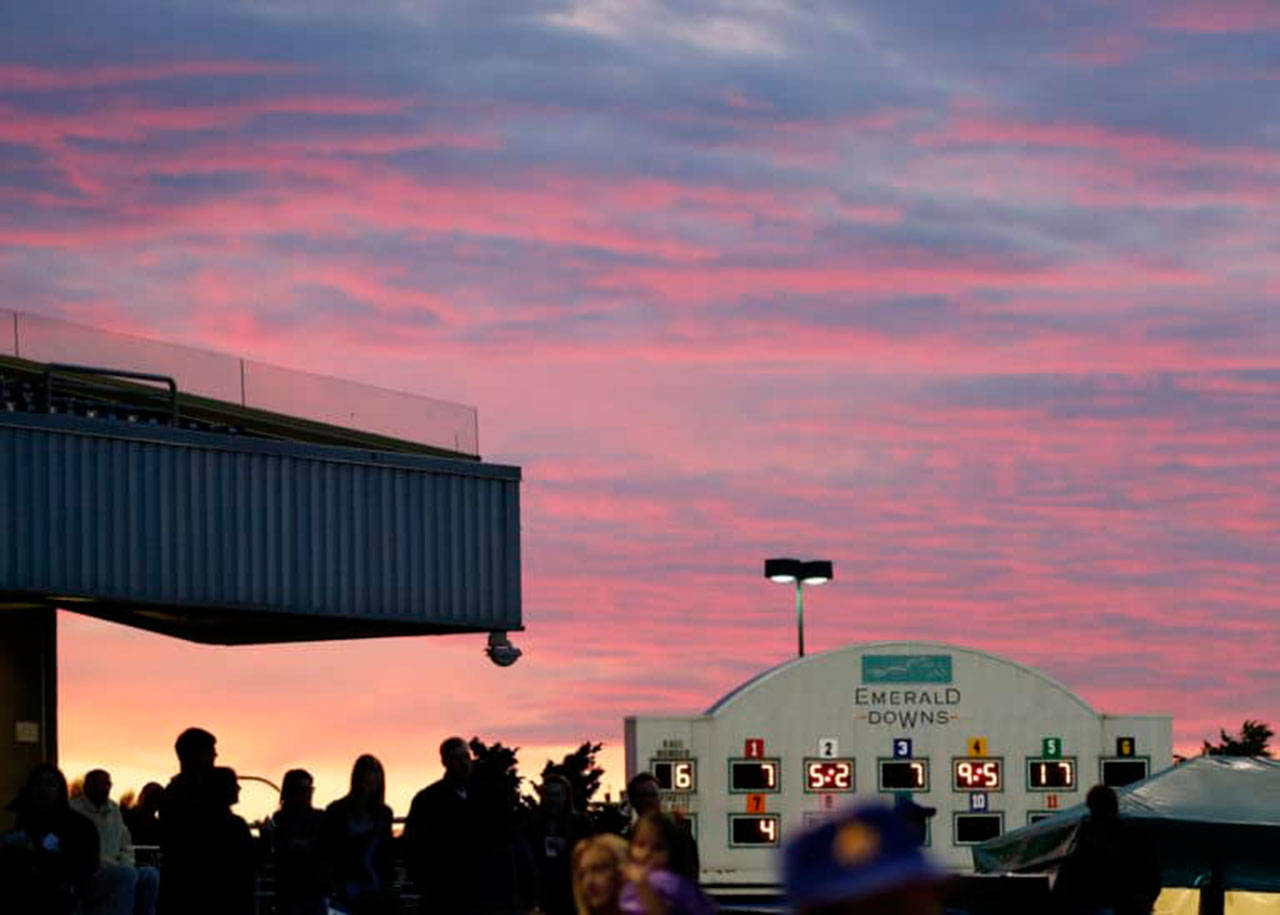 Twilight racing every Friday through Sept. 21 at Emerald Downs. COURTESY TRACK PHOTO