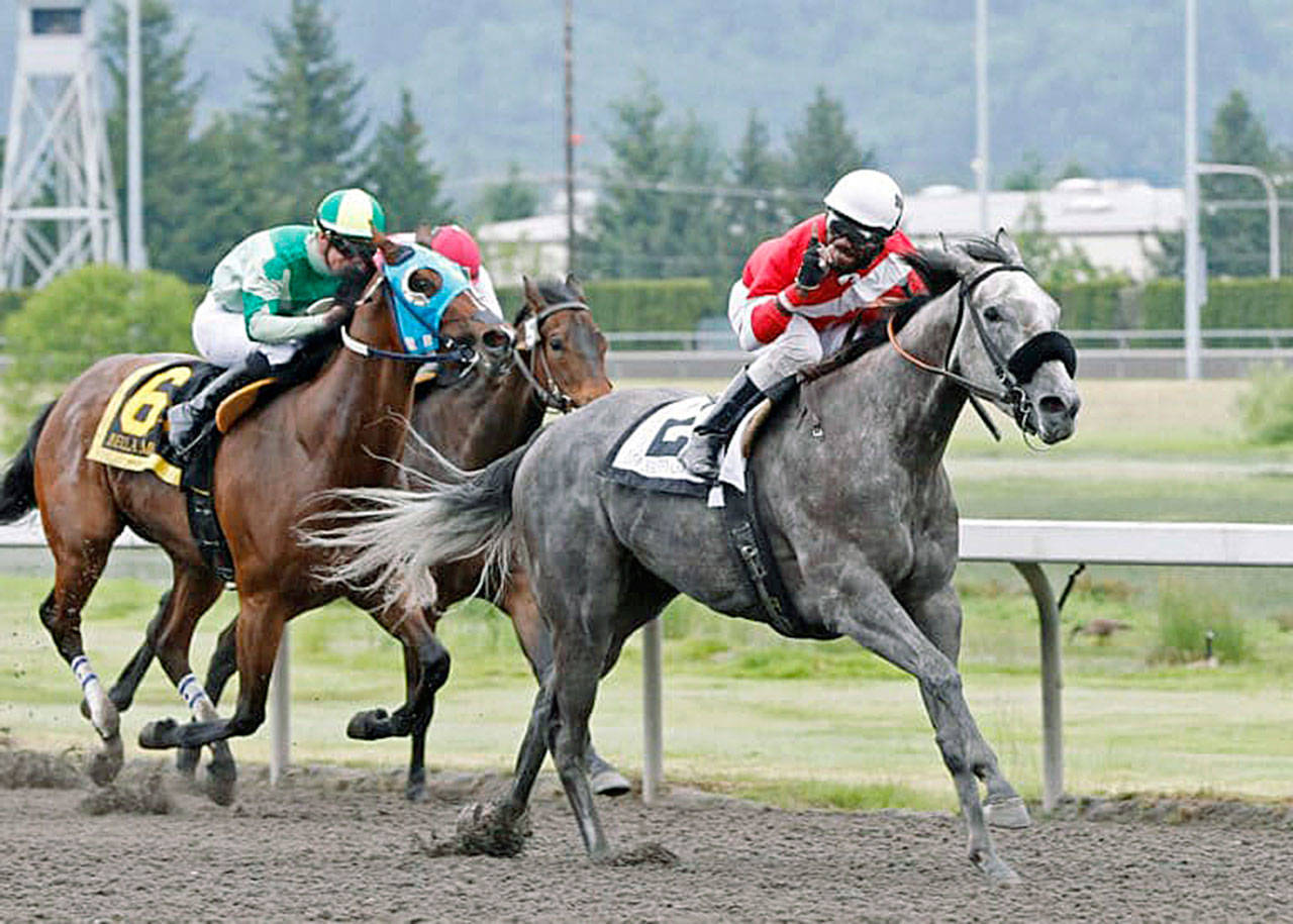 Ima Happy Cat and Rocco Bowen clear in the stretch en route to capturing the $50,000 Seattle Stakes on Sunday. COURTESY TRACK PHOTO