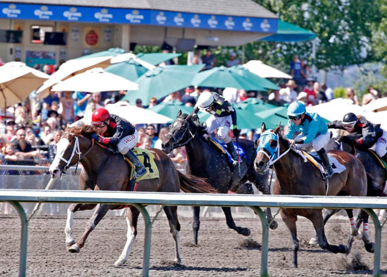 Barkley (No. 4) and Mach One Rules (rail) renew their rivalry Sunday. COURTESY TRACK PHOTO