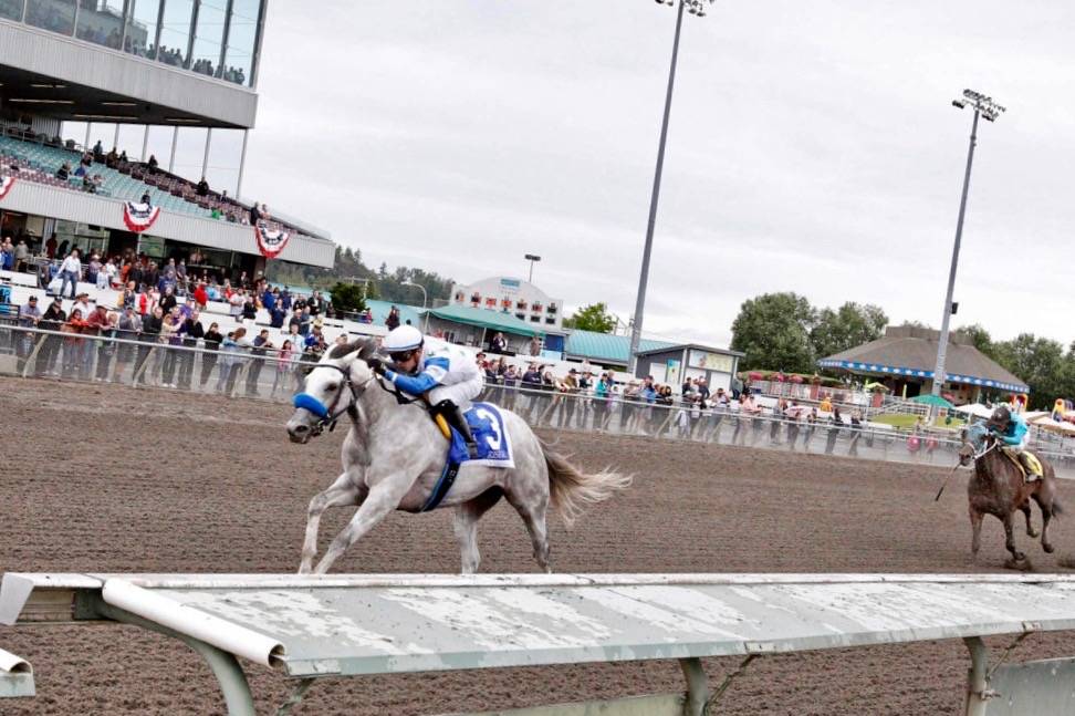 Riser, with Juan Hernandez up, runs off with a 4¼-length victory in the $50,000 Governor’s Stakes for 3-year-olds and up at Emerald Downs on Sunday. COURTESY TRACK PHOTO