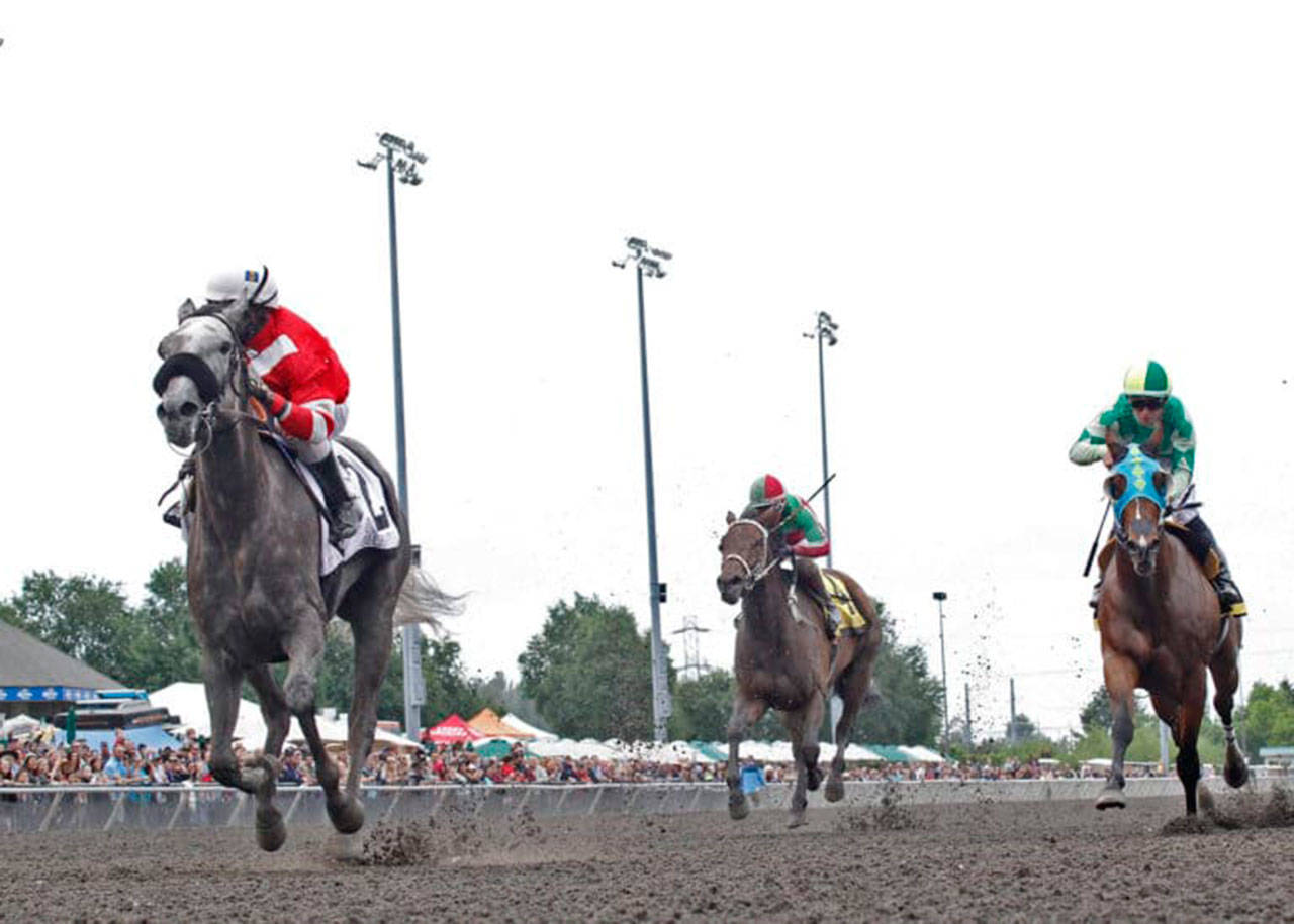 Ima Happy Cat prevails in the May 20 Seattle Stakes. COURTESY TRACK PHOTO