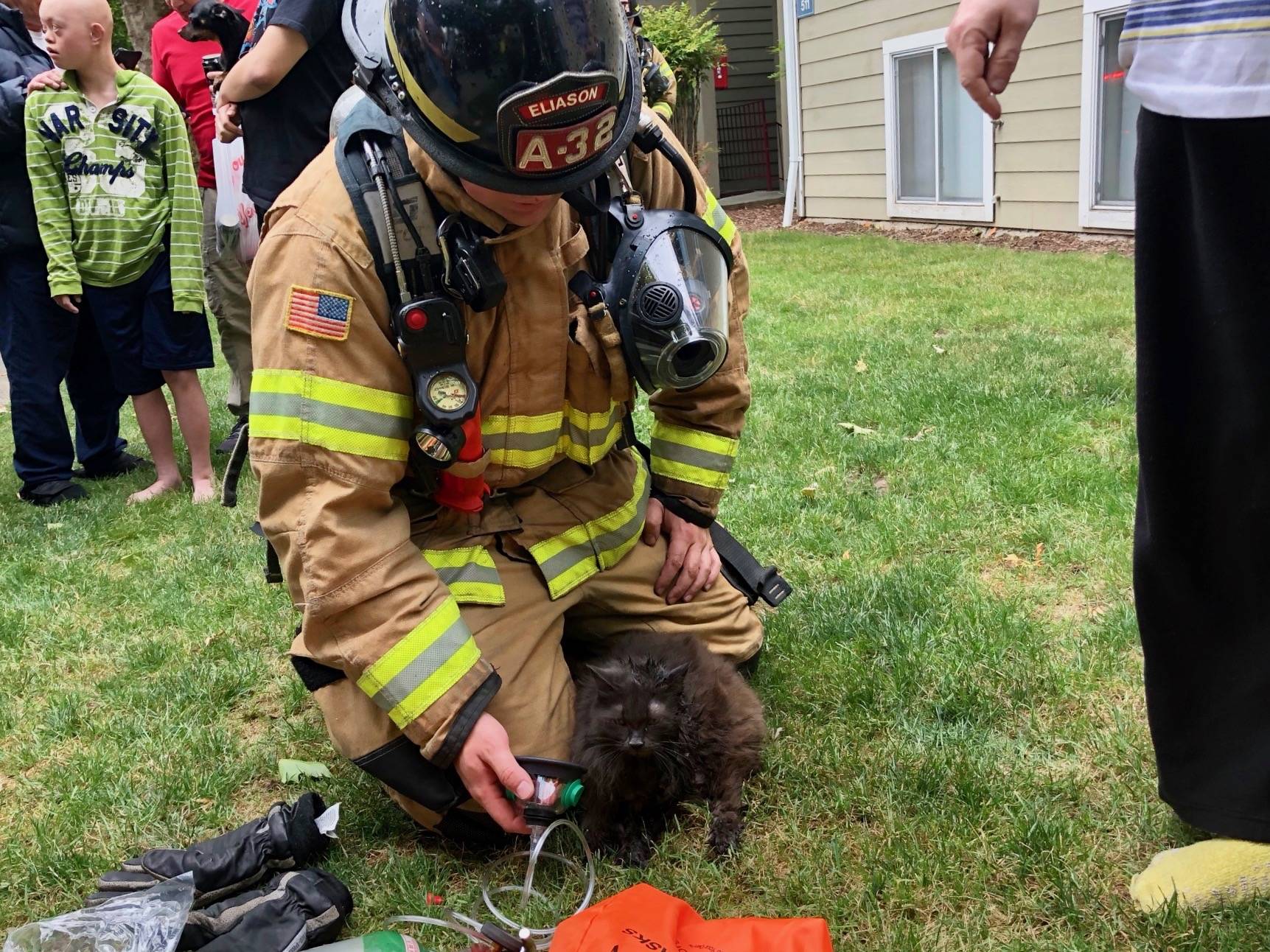 A Valley Regional Fire Authority firefighter tends to a resuscitated cat that was rescued from an Auburn apartment fire Thursday. COURTESY PHOTO, VRFA