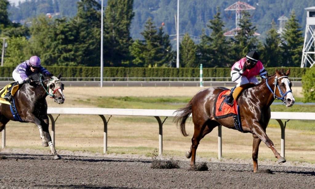 Sippin Fire, with Rocco Bowen up, dashes to a 3½-length victory in Sunday’s $50,000 Coca-Cola Stakes for 3-year-old colts and geldings at Emerald Downs on Sunday. COURTESY TRACK PHOTO