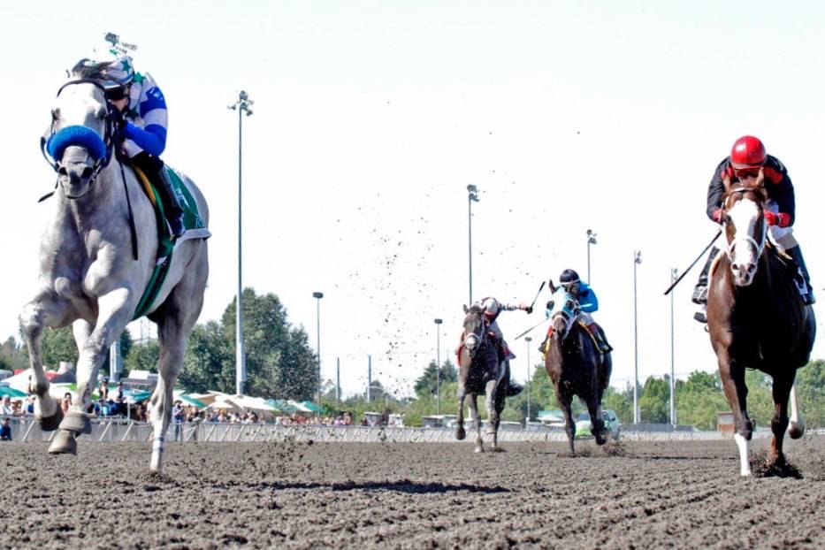 Riser outpaces Barkley in the Mt. Rainier Stakes | Auburn Reporter