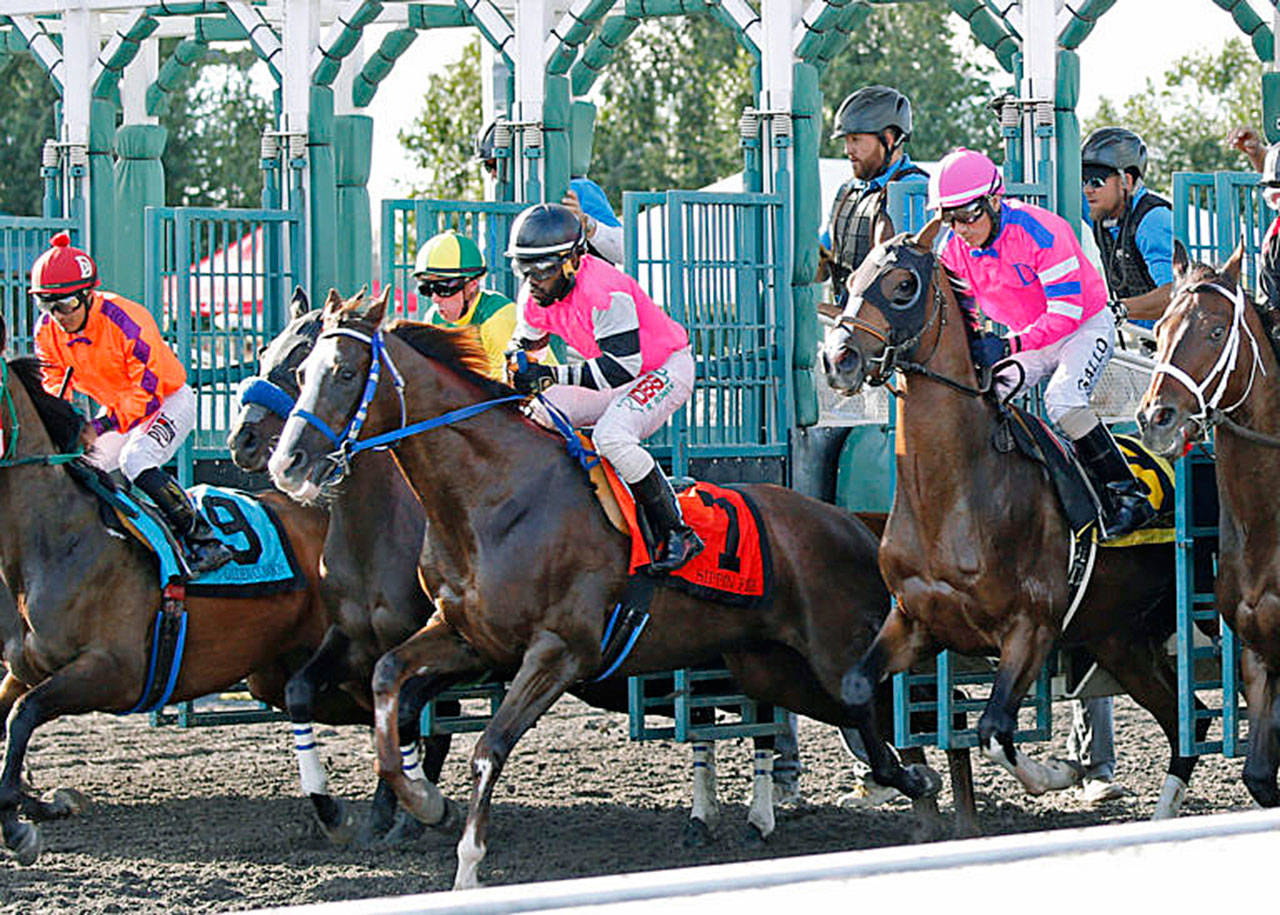 Sippin Fire (No. 7) and jockey Rocco Bowen in the Seattle Slew Stakes. COURTESY TRACK PHOTO