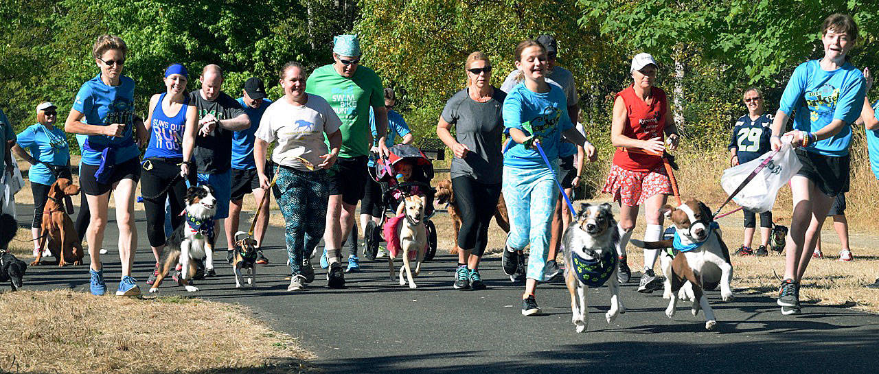 Runners, walkers, joggers and talkers take off at the start of last year’s Rover Romp at Roegner Park. RACHEL CIAMPI, Auburn Reporter