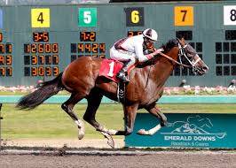 Juvenile twinbill goes to the post in Xpressbet.com Washington Cup
