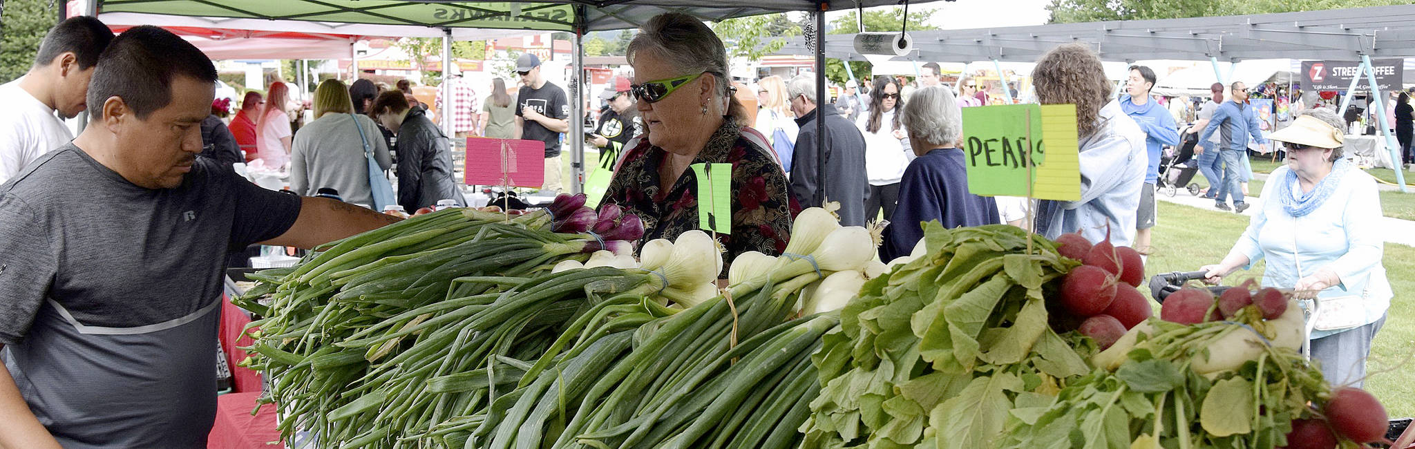 City Farmers market’s first year in the park was an astounding success