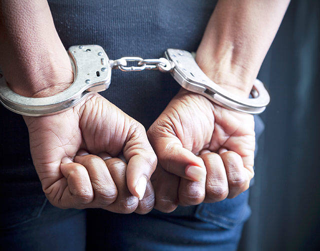 Two Auburn men among 29 arrested in drug busts