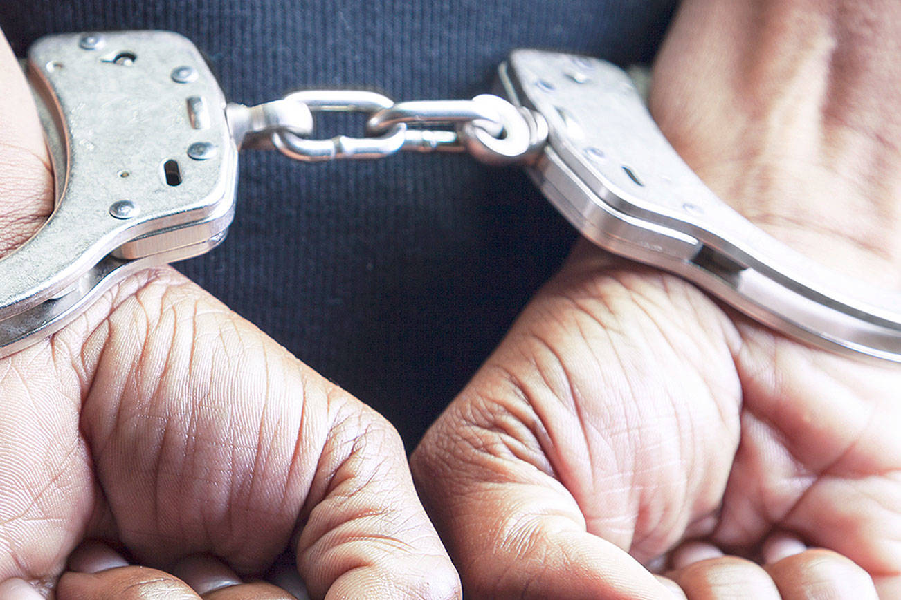 Two Auburn men among 29 arrested in drug busts