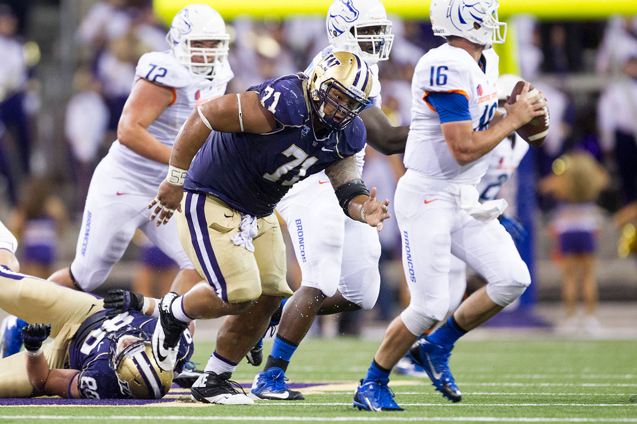 University of Washington defensive lineman Danny Shelton, an Auburn High School product, chases down the Boise State quarterback during a nonconference game at Husky Stadium in 2013. Shelton was a standout performer, a first-round NFL selection. If Rep. Drew Stokesbary had his way, college athletes like Shelton would be paid. The Auburn Republican has introduced legislation that would permit student-athletes enrolled in Washingtons colleges to earn compensation. COURTESY PHOTO, Joe Nicholson/Red Box Pictures